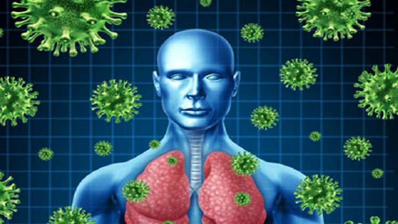 Iranpress: دراسة : كورونا يجعل الجهاز المناعي يهاجم خلايا الجسم بدلا من محاربة الفيروسات