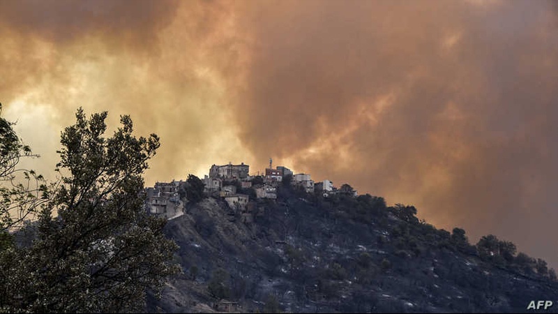 Iranpress: ارتفاع حصيلة ضحايا جراء حرائق الغابات في الجزائر إلى 65 ضحية