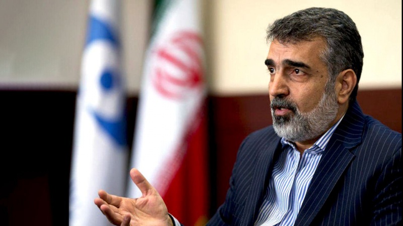 Iranpress: المواضيع الجارية بين إيران والوكالة الذرية قيد المتابعة