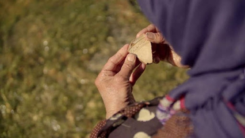 Iranpress: فيلم إيراني يحصد جائزة أفضل فيلم وثائقي في مهرجان الأمم بالنمسا