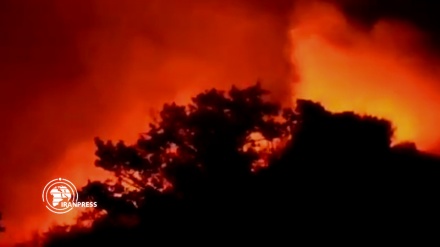 الحرائق تلتهم غابات محافظة كلستان الإيرانية