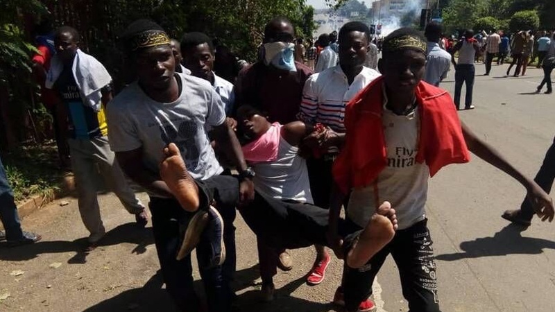 Iranpress: استشهاد 8 مواطنين نيجيريين خلال قمع مسيرات الأربعين الحسيني