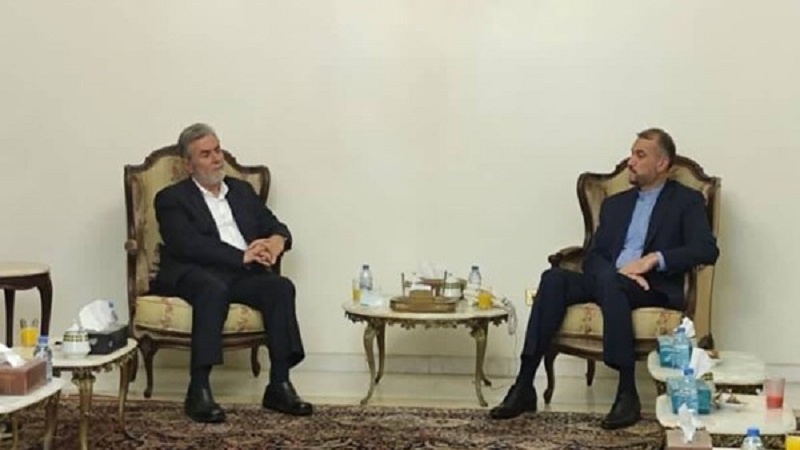 Iranpress: الأمين العام لحركة الجهاد الإسلامي في فلسطين يلتقي وزير الخارجية الإيراني