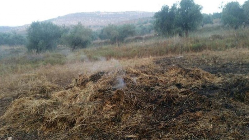 Iranpress: مستوطنون يشعلون النار في أراضي الفلسطينيين بالضفة الغربية