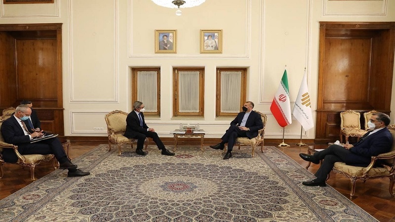 Iranpress: مسؤول نمساوي يلتقي وزير الخارجية الإيراني 