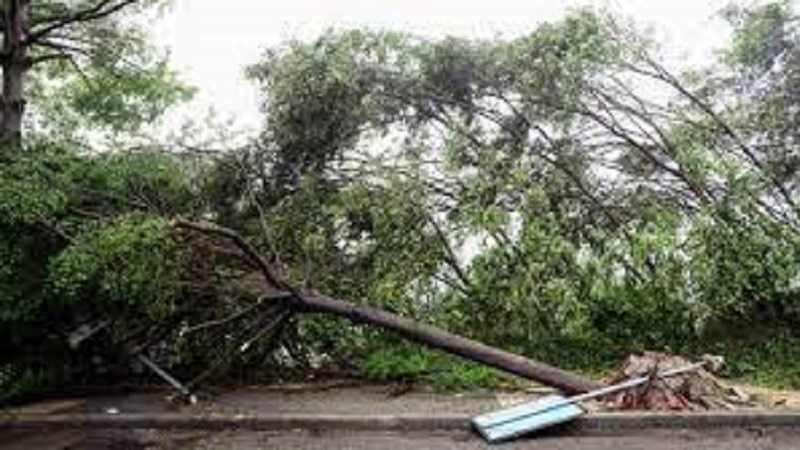 22 کشته و زخمی با وقوع طوفان در لهستان