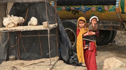 97 درصد مردم افغانستان در آستانه سقوط به زیر خط فقر