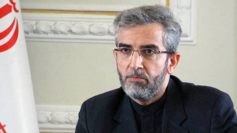 Iranpress: نائب وزير الخارجية : لن ندخر جهدًا في تأمين المصالح الوطنية