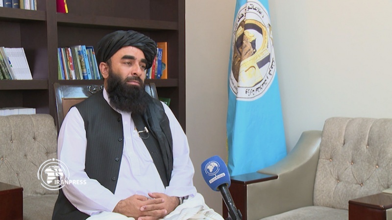Iranpress: وفد طالبان يتوجه إلى أوزبكستان