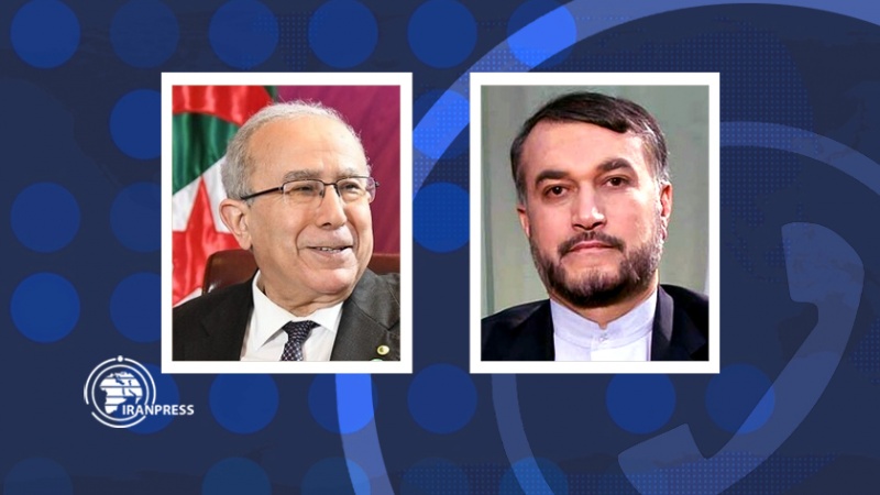 Iranpress: امتناع الجزائر عن التصويت على عضوية "اسرائیل" في الاتحاد الإفريقي يستحق التقدير