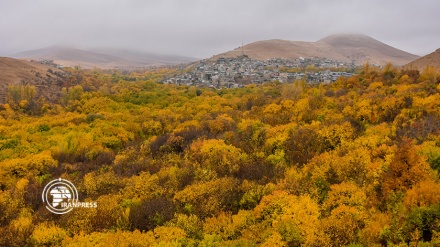 قرية ‘وفس’ جنة ملونة في محافظة مركزي