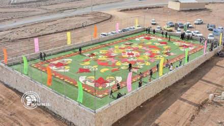 طراحی بزرگترین فرش سرگُل خاورمیانه در محلات  