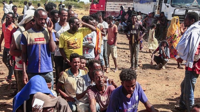 Iranpress: الأمم المتحدة تحذر من ارتفاع عدد الذين يواجهون الجوع في شمال إثيوبيا