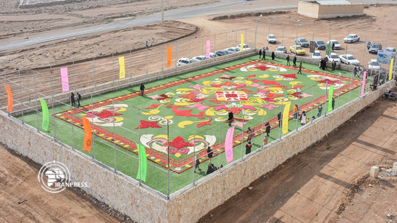 Iranpress: أكبر سجاد منسوج على شكل أنواع الزهور في الشرق الأوسط 