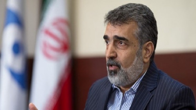 Iranpress:  إيران والوكالة الذرية تتفقان على كيفية متابعة القضايا ذات الاهتمام المشترك