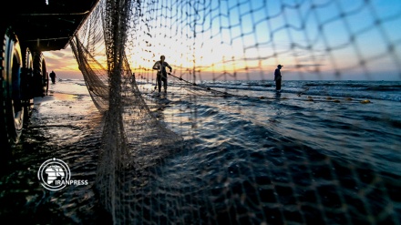  ماهیگیری در مازندران؛ زیبایی موج و صید در ساحل دریای خزر  
