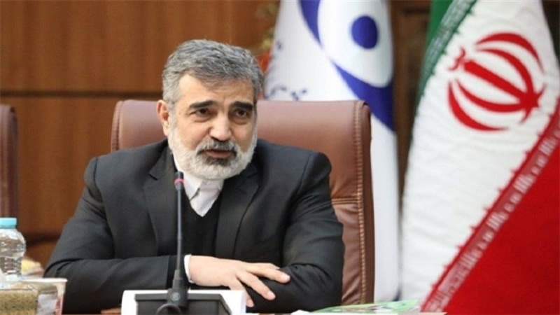 Iranpress: كمالوندي: الأنشطة النووية الإيرانية تأتي في إطار القانون
