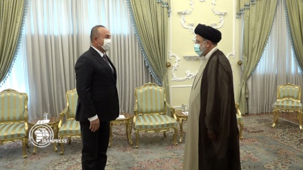 يتعين على إيران وتركيا رفع مستوى العلاقات الحالية إلى مستوى التعاون الشامل