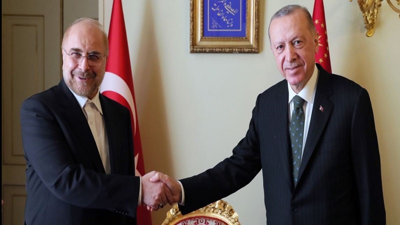 Iranpress: إيران وتركيا تبحثان تعزيز العلاقات الاقتصادية
