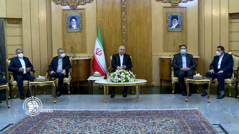 Iranpress: رئيس مجلس الشورى الإسلامي يعود إلى طهران
