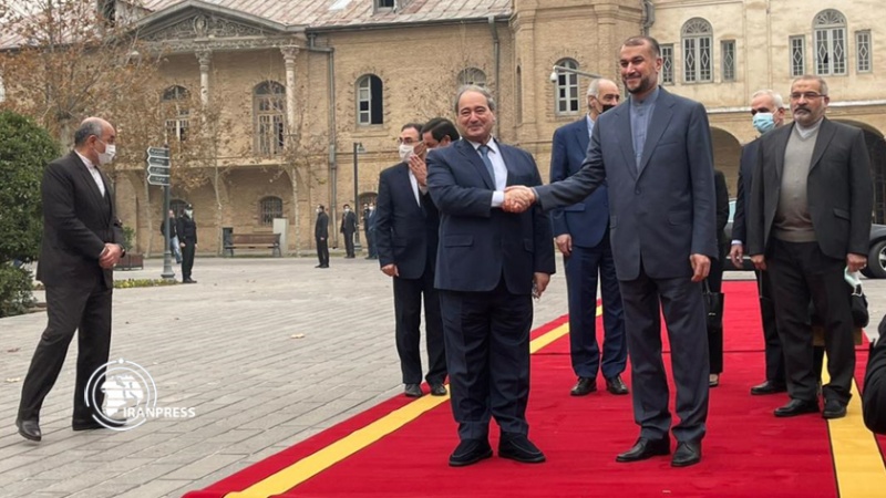 تصاویر استقبال رسمی اميرعبداللهيان از وزیر خارجه سوریه