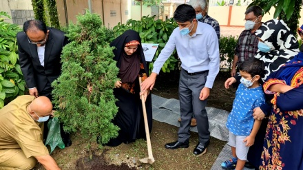 کاشت درخت مقاومت در سفارت ایران در برونئی دارالسلام به یاد شهید سلیمانی 