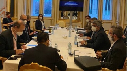 جلسه باقری با نمایندگان اتحادیه اروپا و ۱+۴ برگزار شد