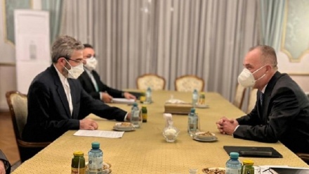 رایزنی معاون سیاسی وزیر خارجه هلند با باقری کنی در وین