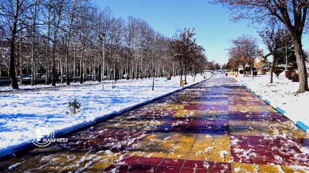 شاهد جمال الطبيعة بمدينة بروجرد بعد التساقطات الثلجية