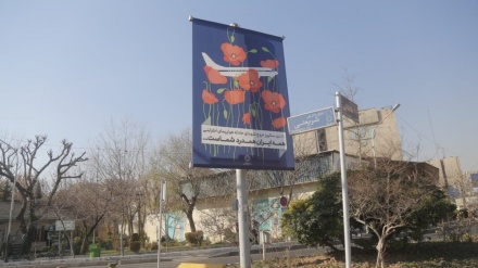 نصب اعلان‌های گرافیکی سالروز سانحه هواپیمای اوکراینی در پایتخت/  گلباران محل سانحه