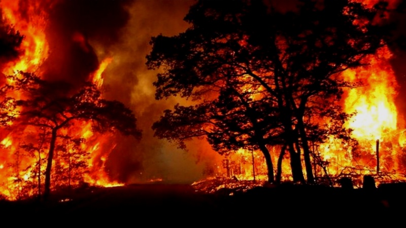 Iranpress: حرائق غابات كولورادو الأميركية تلتهم نحو ألف مبنى 