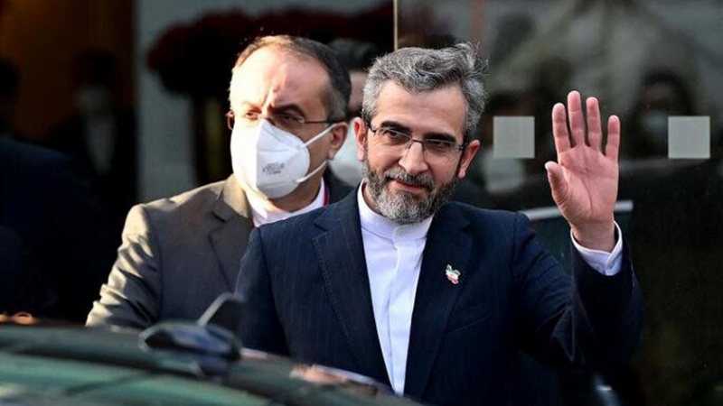 Iranpress: كبير المفاوضين الإيرانيين يغادر فيينا عائدًا إلى طهران