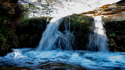  تصاویری زیبا از آبشار زیرراه؛ نگین سرسبز دشتستان در فصل زمستان  