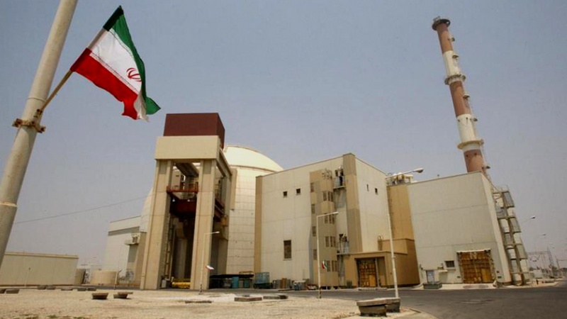 الانتهاء من أعمال الصيانة في محطة بوشهر النووية