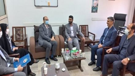 نشست مسئولان فدراسیون ووشو با رئیس کمیته تربیت بدنی کمیسیون فرهنگی مجلس 