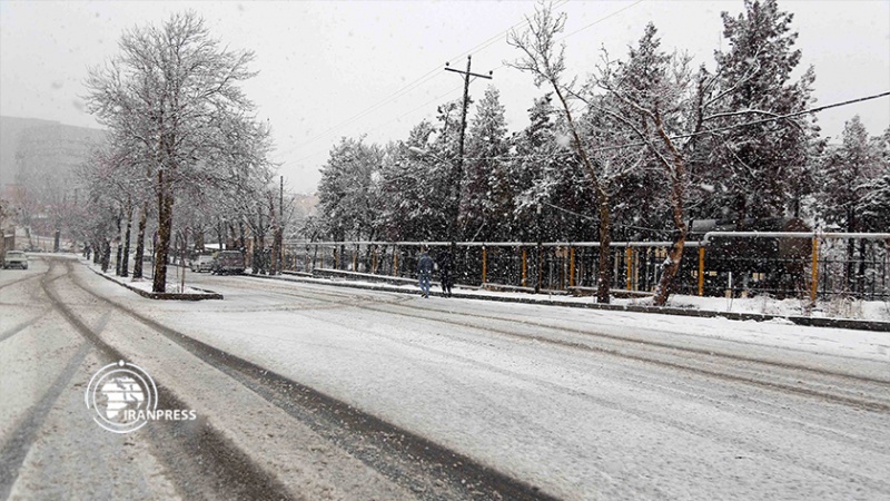 Iranpress: الثلوج تصنع مناظر رائعة في مدينة سنندج