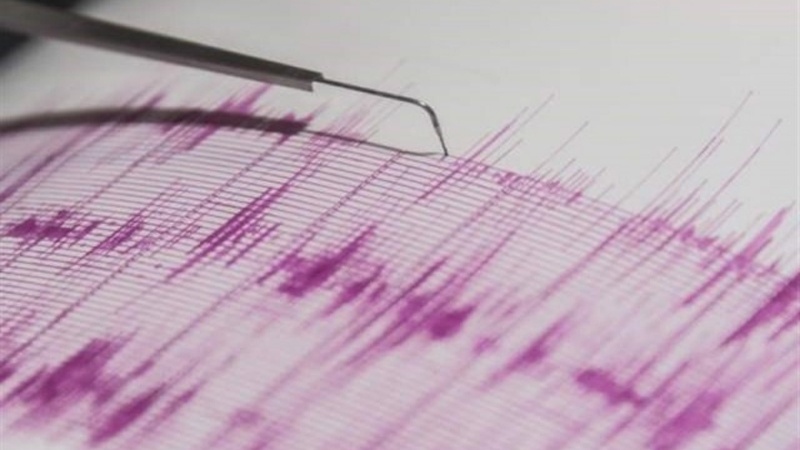 Iranpress: زلزال متوسط القوة يضرب محافظة فارس 