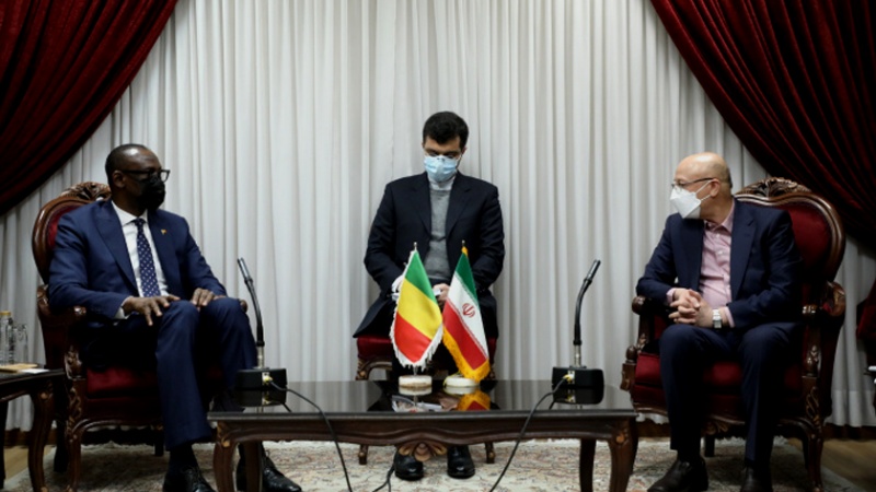 Iranpress: وزير خارجية مالي: إيران تعتبر نموذجا جيدا للتقدم العلمي ومكافحة الاستكبار العالمي
