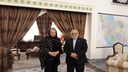 رئيسة بعثة الامم المتحدة في العراق تلتقي السفير الايراني في بغداد