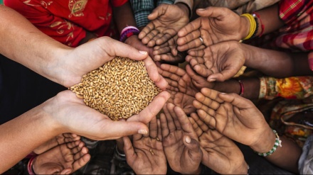هشدار 4 نهاد وابسته به سازمان ملل در خصوص خطر امنیت غذا در جهان