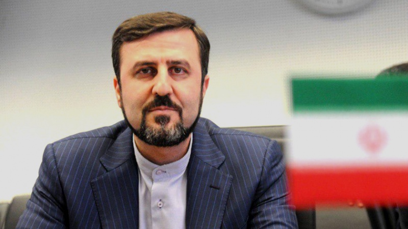 Iranpress: إيران تحتج على تعامل عنيف للشرطة الدنماركية مع مواطن إيراني