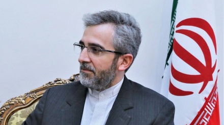 باقری کنی: سیاست راهبردی جمهوری اسلامی ایران خنثی‌سازی تحریم ها است