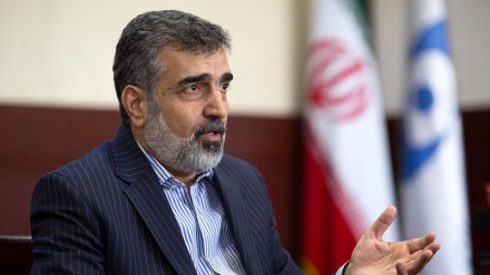 کمالوندی: تا زمان انعقاد توافق، اطلاعات نظارتی نزد ایران می‌‌ماند