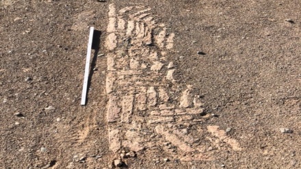 تکمیل نقشه باستان‌شناسی سیرجان/ نخستین فصل از بررسی شناسایی بخش زیدآباد