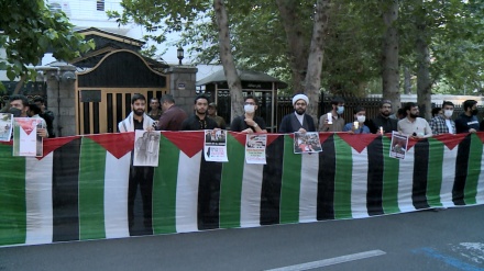 گرامیداشت شهیده «شیرین ابوعاقله» مقابل سفارت فلسطین در تهران