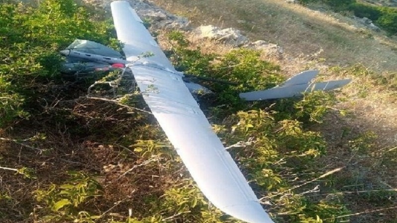 Iranpress: الجيش اللبناني يوضح تفاصيل سقوط الطائرة الإسرائيلية المسيرة في لبنان