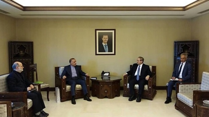 Iranpress: السفير الإيراني يلتقي وزير الخارجية السوري