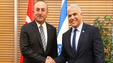 ترکیه از تعمیق همکاری امنیتی با اسرائیل چه اهدافی را دنبال می کند؟