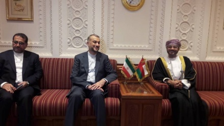 دیدار وزیران امورخارجه ایران و عمان