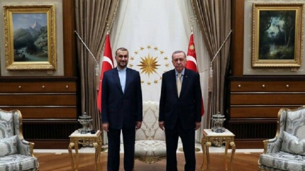 سفر امیرعبداللهیان به ترکیه؛ دیدار و گفتگو با اردوغان و چاووش اوغلو